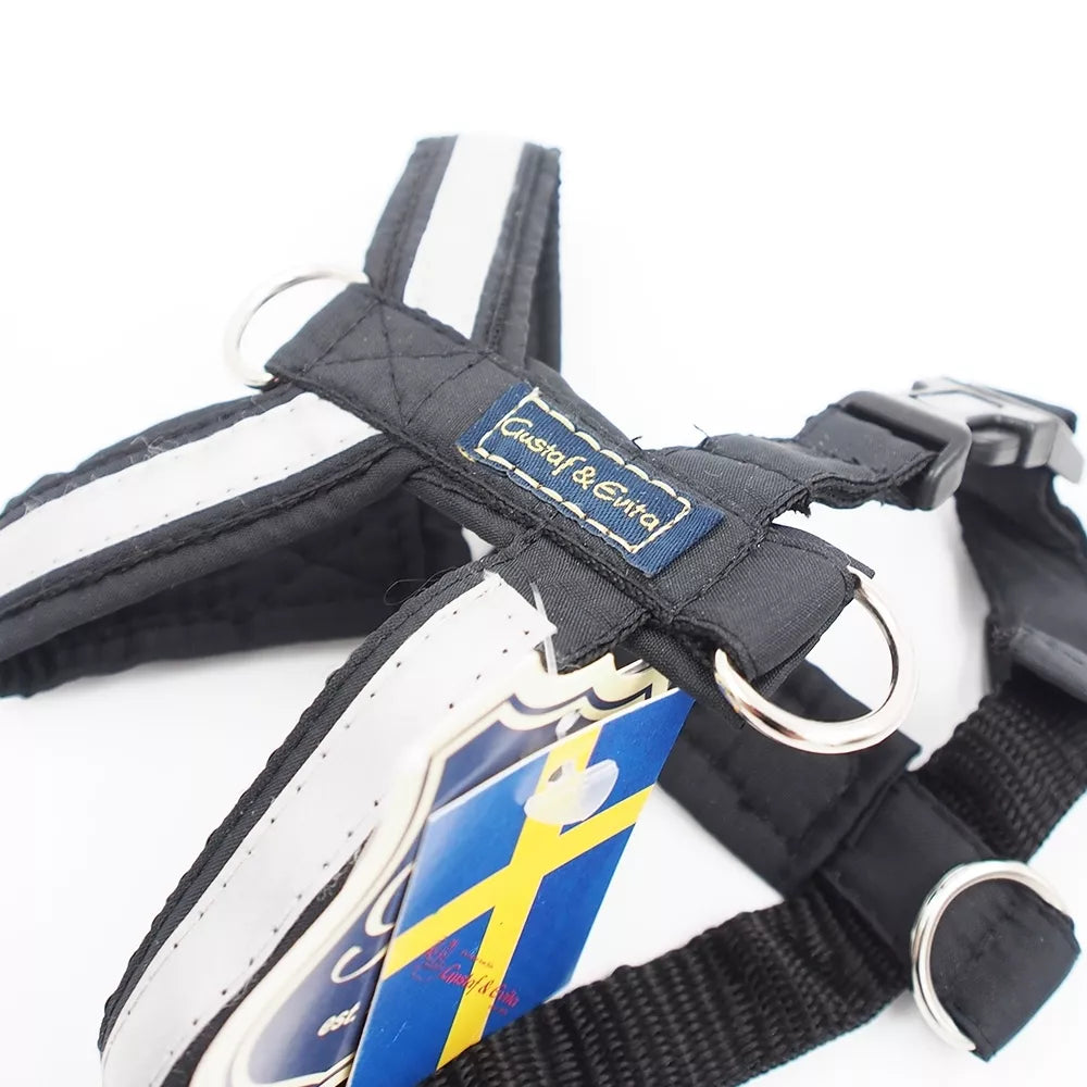 XS+ petnešos „Gustaf & Evita“