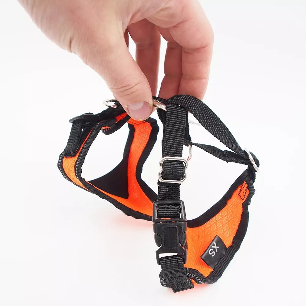 XS petnešos šunims Hunter