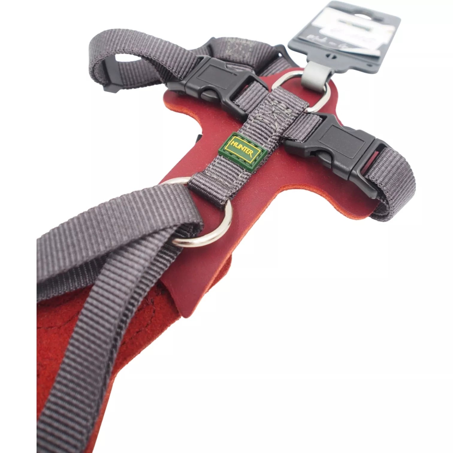 XS-S Petnešos Šunims Hunter