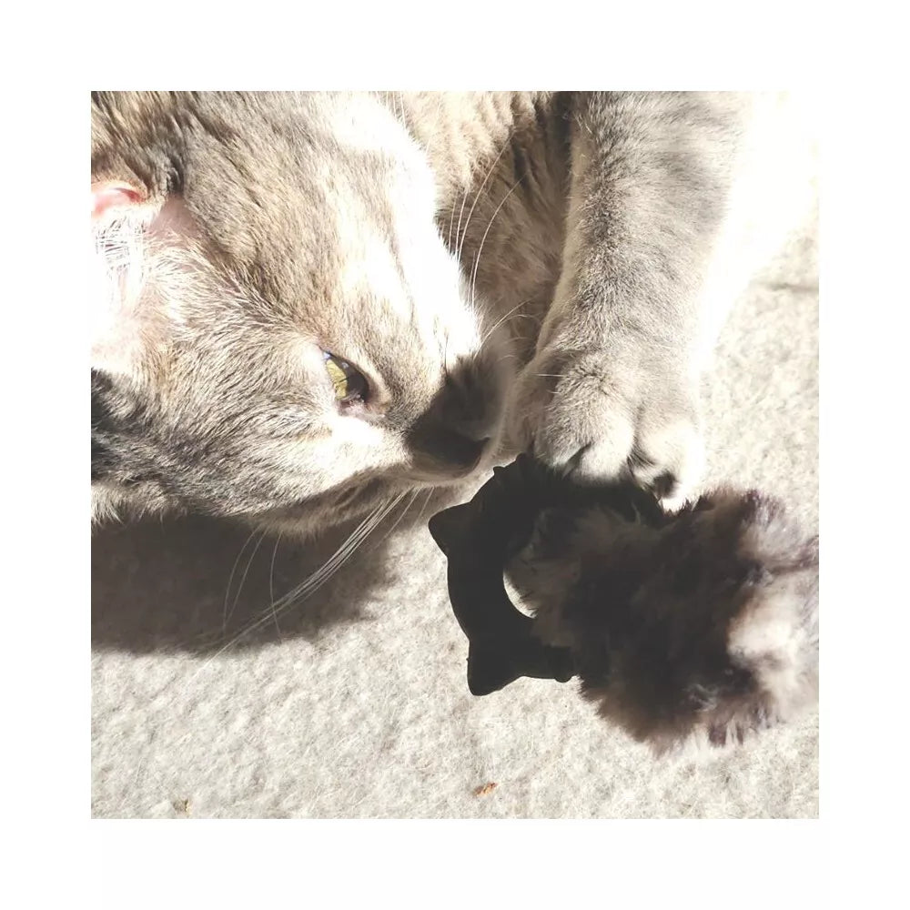 Žaislas katėms katžolės žiedas, 11 cm