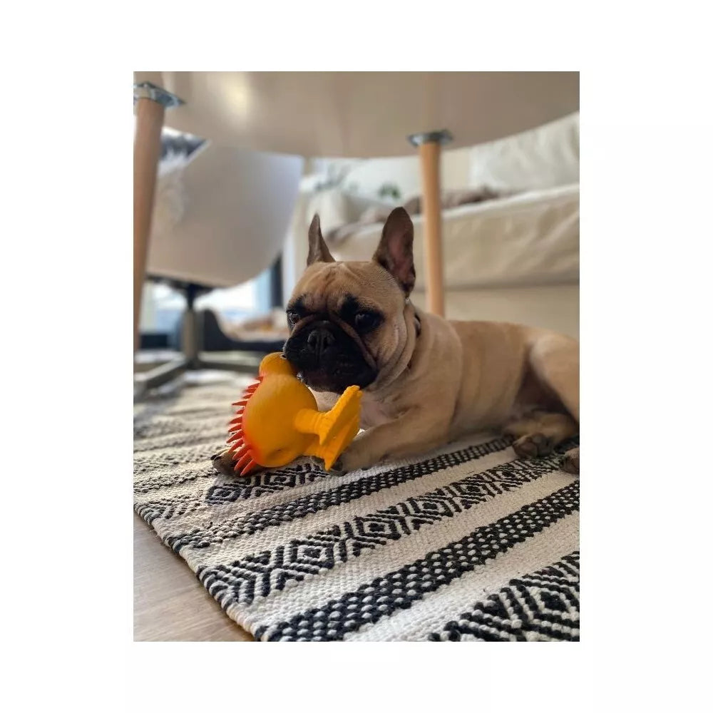 Žaislas šunims lateksinis cypiantis kivis, oranžinis, 8,5 cm, S