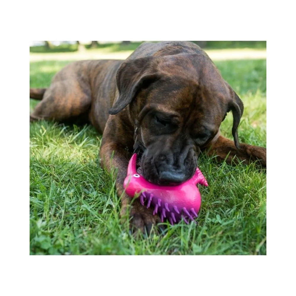 Žaislas šunims lateksinis cypiantis kivis, žalias, 11,5 cm, M